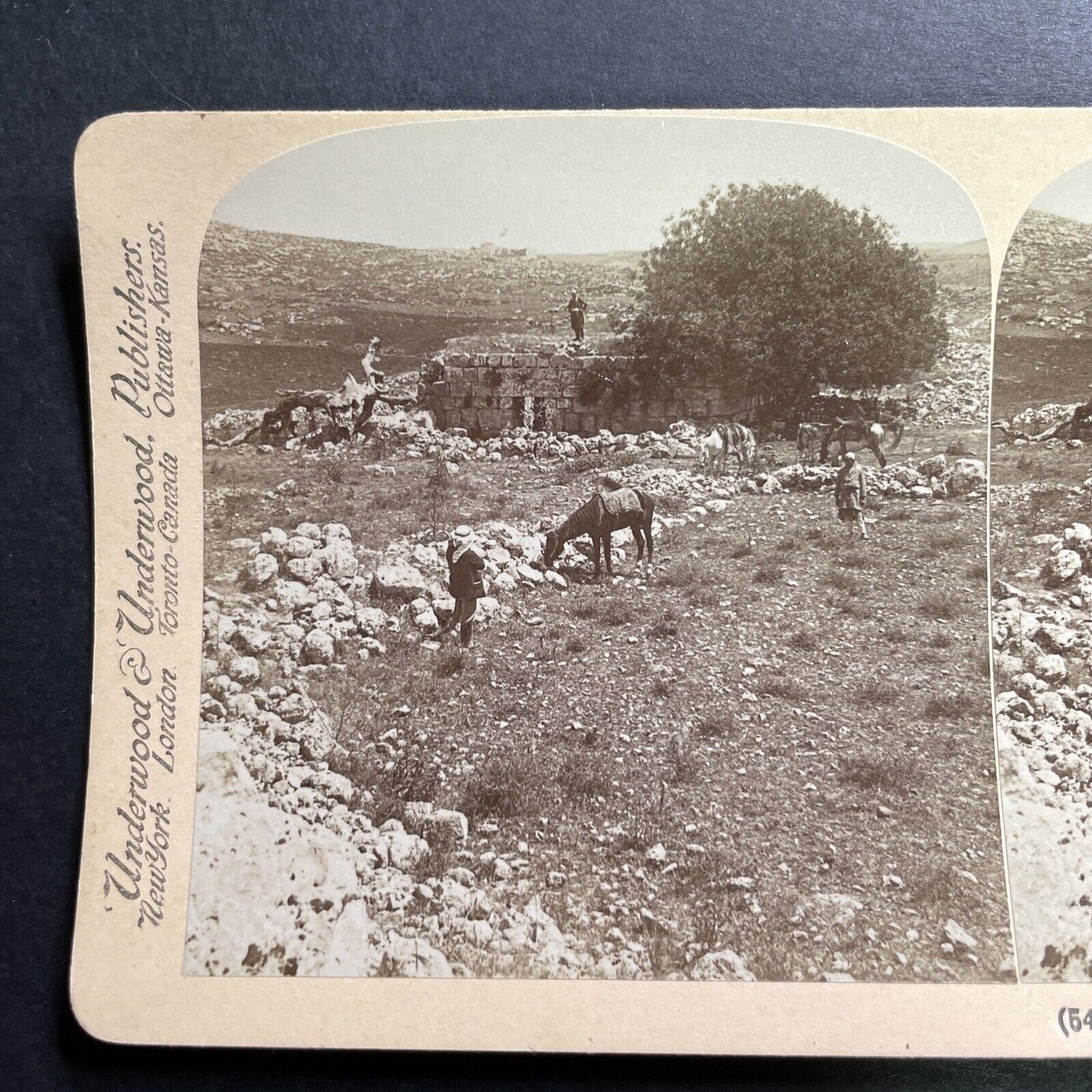 Antique 1900 Stone House In Shiloh Israel Palestine Stereoview Photo Card P1375