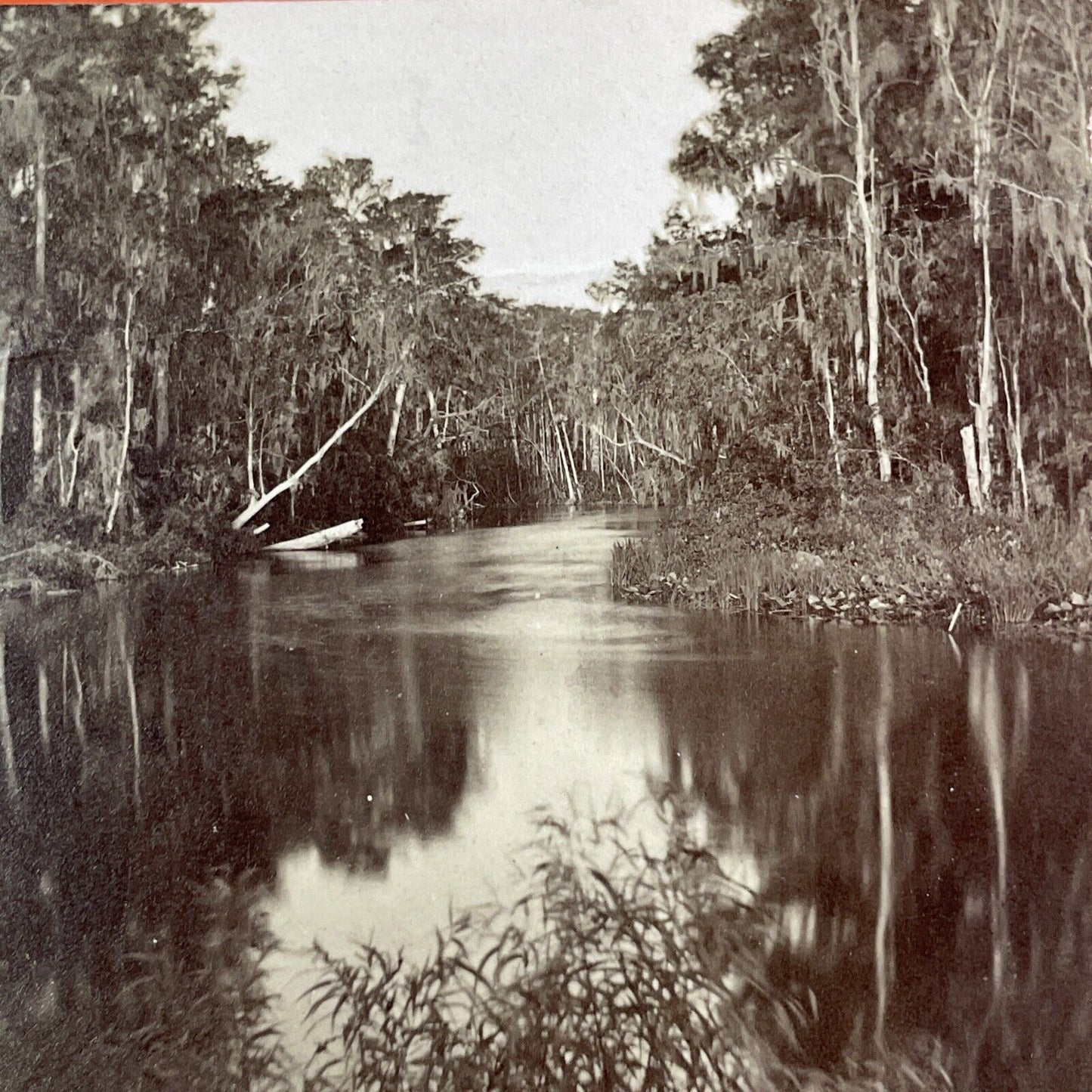 Devils Elbow St. Johns River Stereoview East Palatka Florida Antique c1870 Y1740