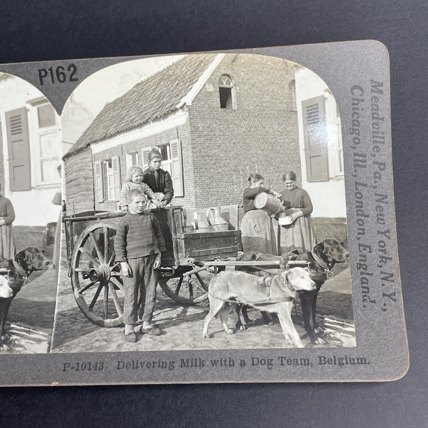 Antique 1918 Dog Sled Delivering Milk Antwerp Belgie Stereoview Photo Card PC769