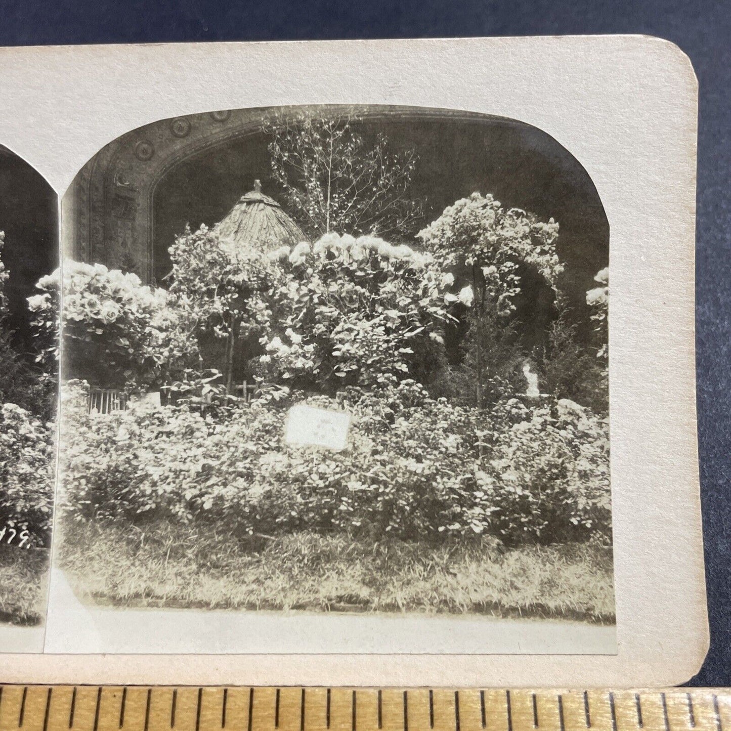 Antique 1870s Madison Square Garden Floral Show Stereoview Photo Card P856-09