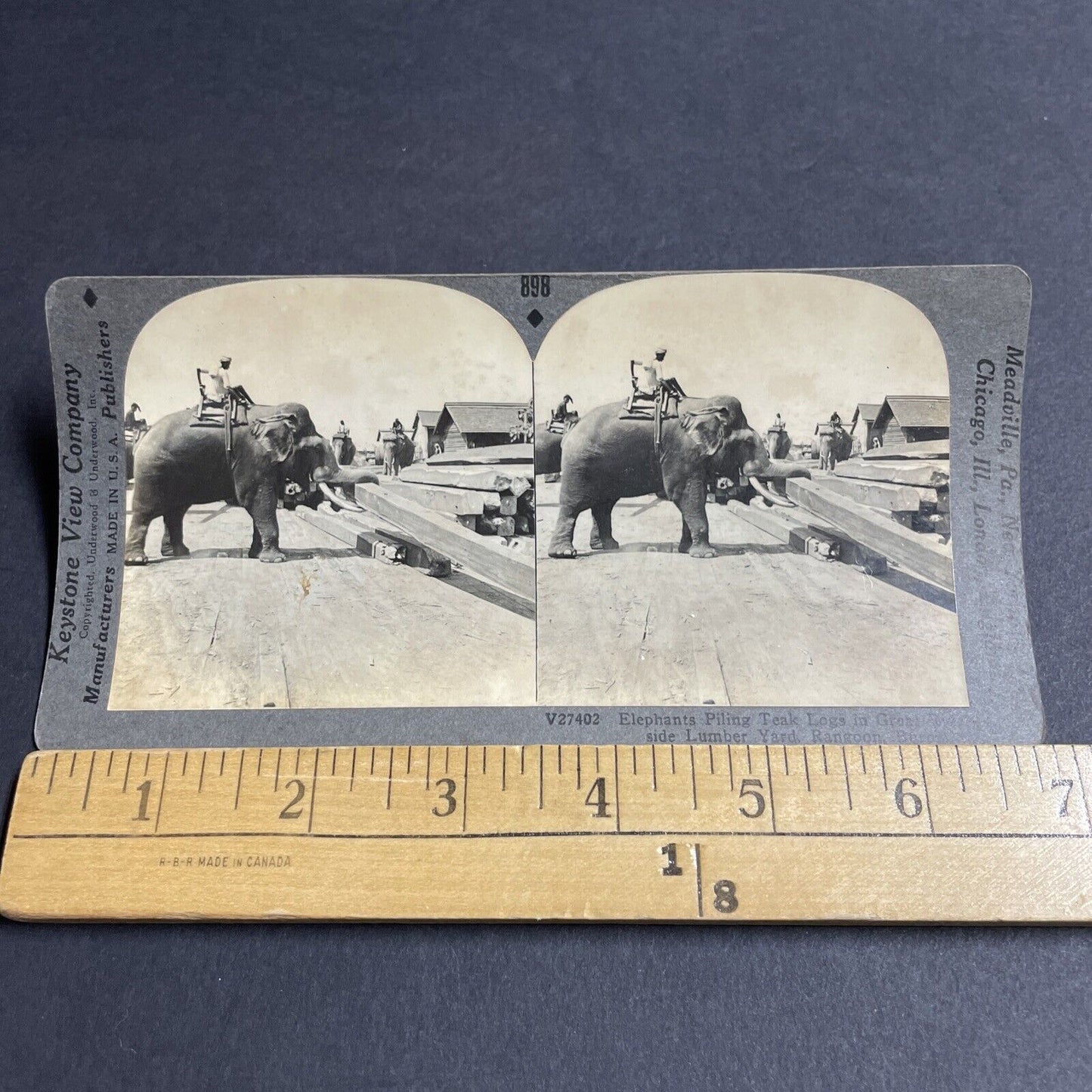 Antique 1910s An Elephant Lifts A Barn Beam Wood Stereoview Photo Card P4907
