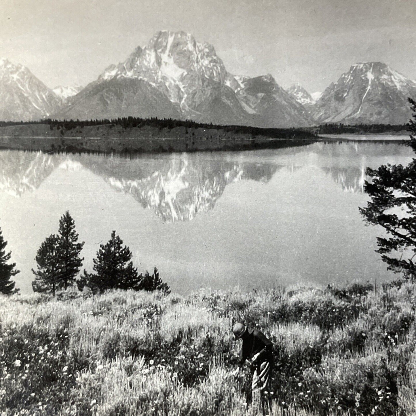 Antique 1910s Jackson Lake Grand Teton Wyoming Stereoview Photo Card V2803