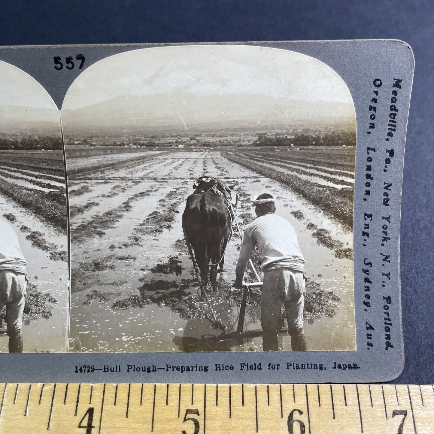 Antique 1904 Hand Plowing Rice Fields In Japan Stereoview Photo Card P2181