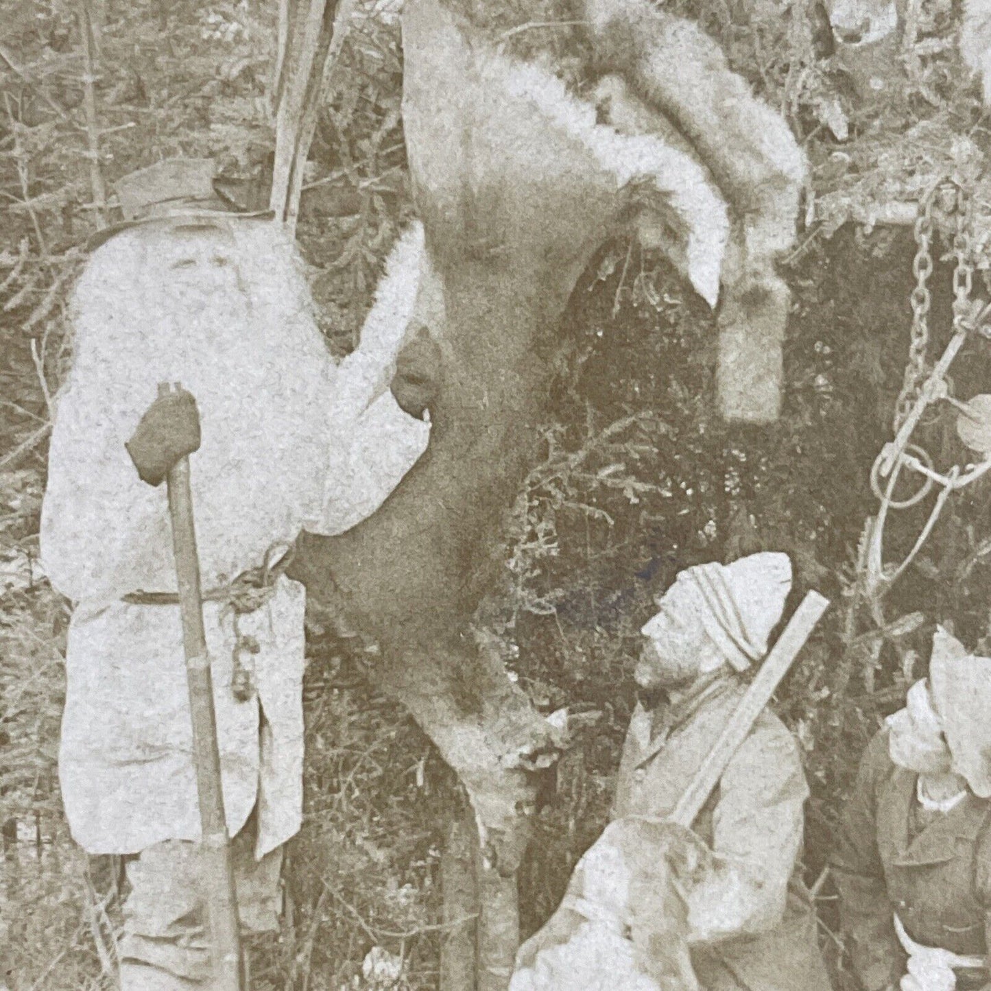 Antique 1892 Snowshoe Hunters Kill A Deer Stereoview Photo Card P4623