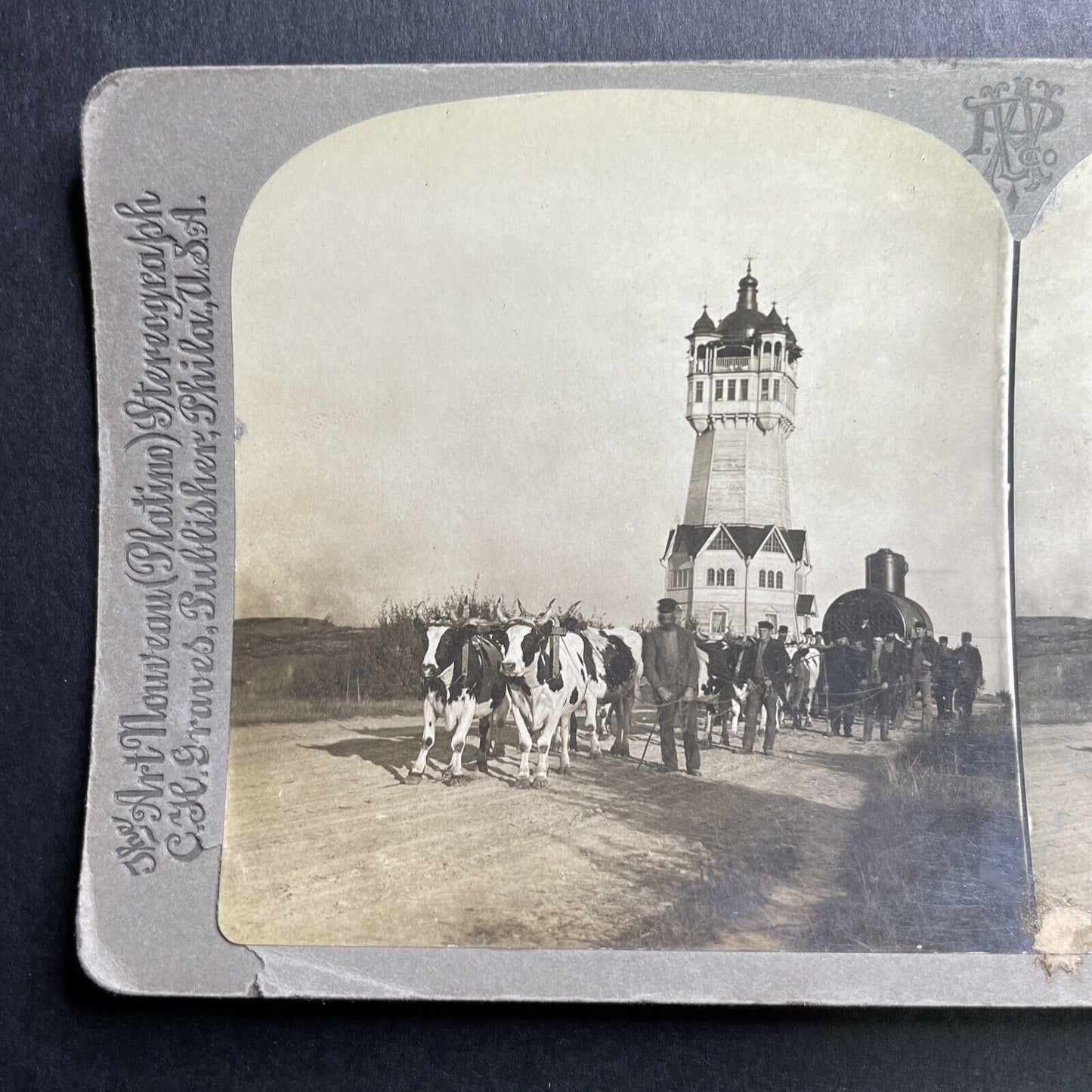 Antique 1901 Train Parts Hauled By Oxen In Sweden Stereoview Photo Card P1675