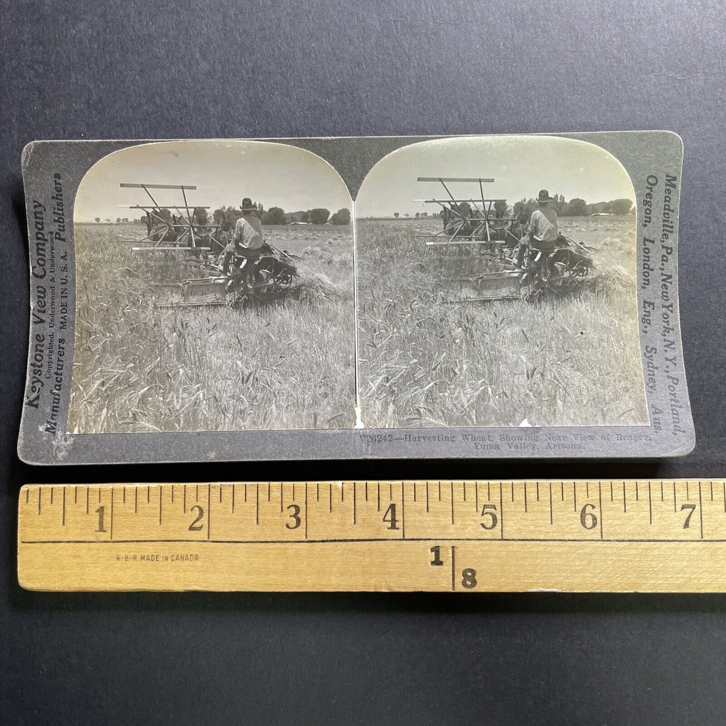 Antique 1918 Farming Wheat Yuma Valley Arizona Stereoview Photo Card P1733