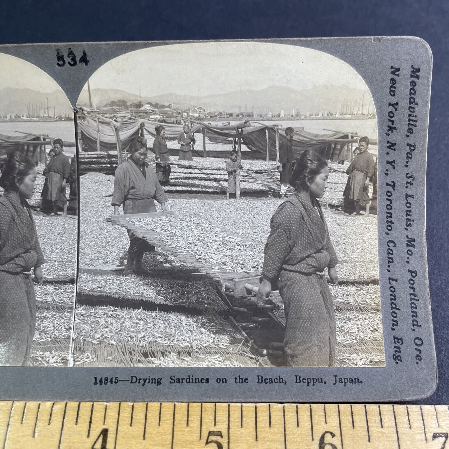 Antique 1905 Millions Of Sardines Beppu Japan Stereoview Photo Card P2115