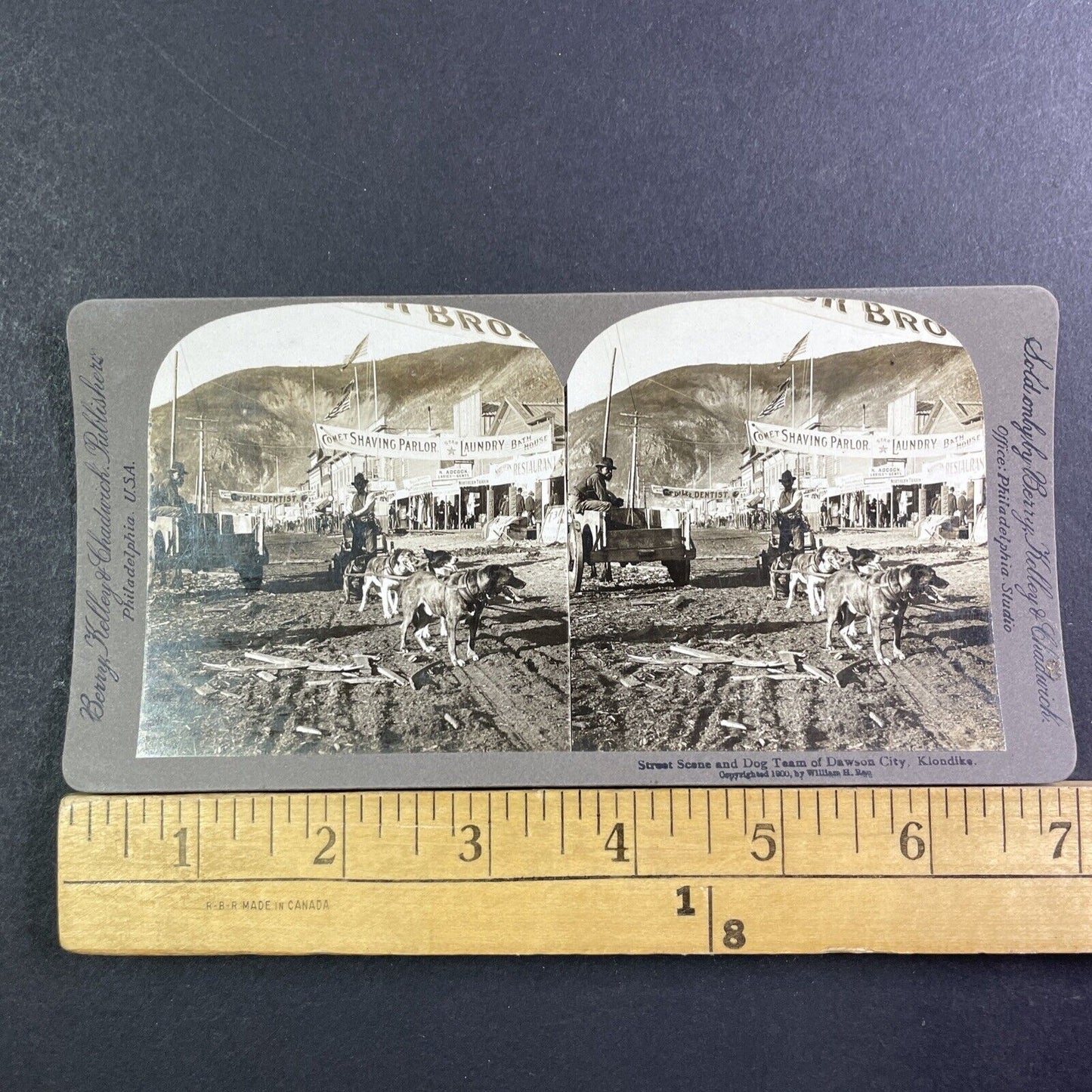 Dog Sled Team Dawson City Yukon Stereoview Gold Rush Town Antique c1900 X1845