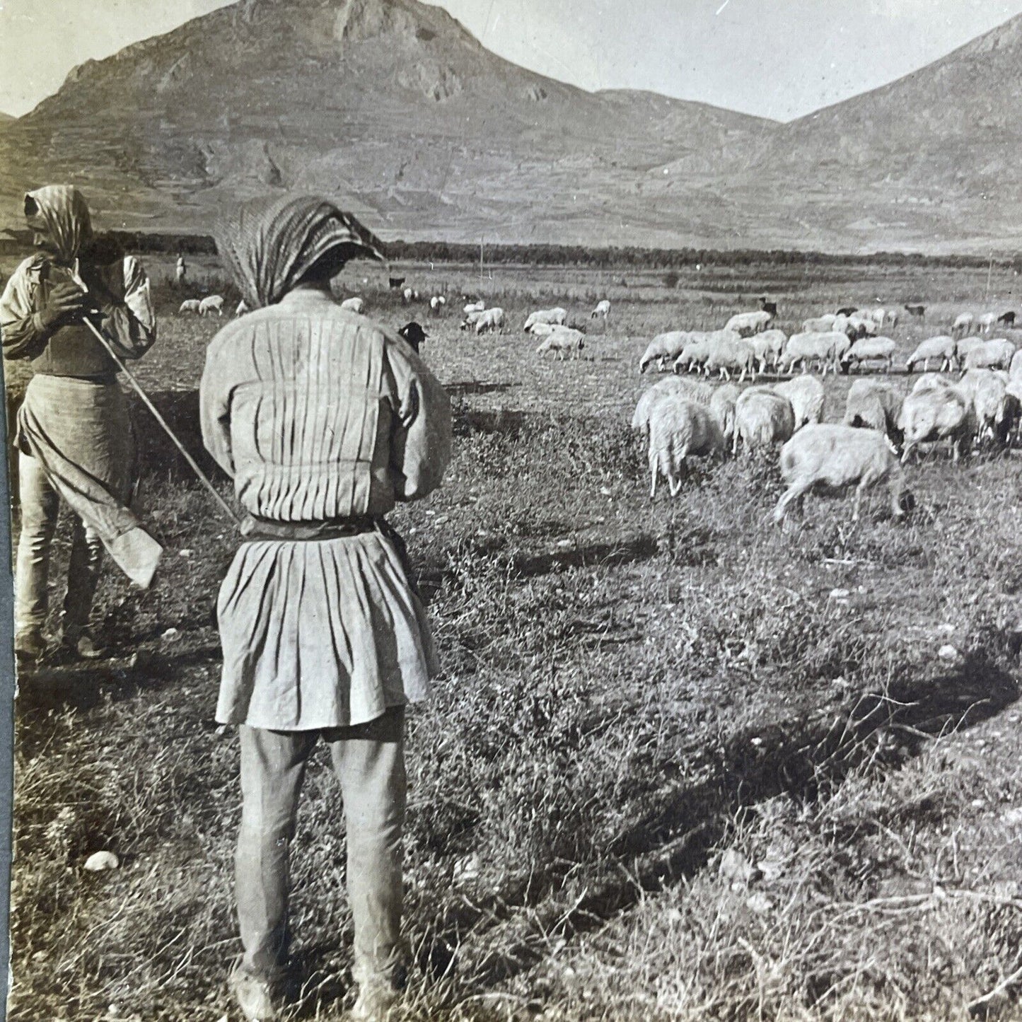 Antique 1906 Shepherds In Argos Greece Stereoview Photo Card P2107