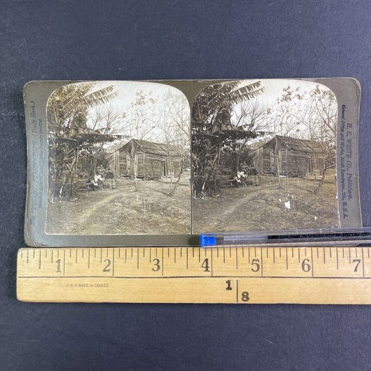 African American Home Stereoview Mississippi River Delta LA Antique c1902 X3133