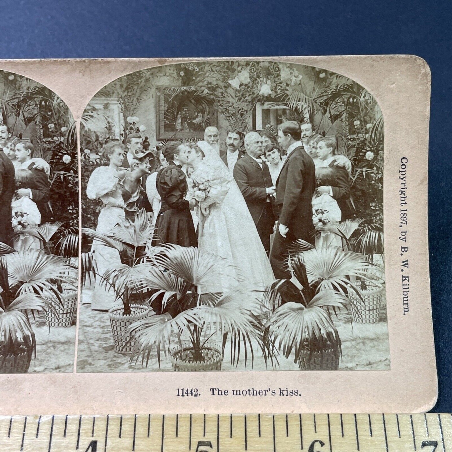 Antique 1897 Mothers Congratulations Kiss To Bride Stereoview Photo Card P2912