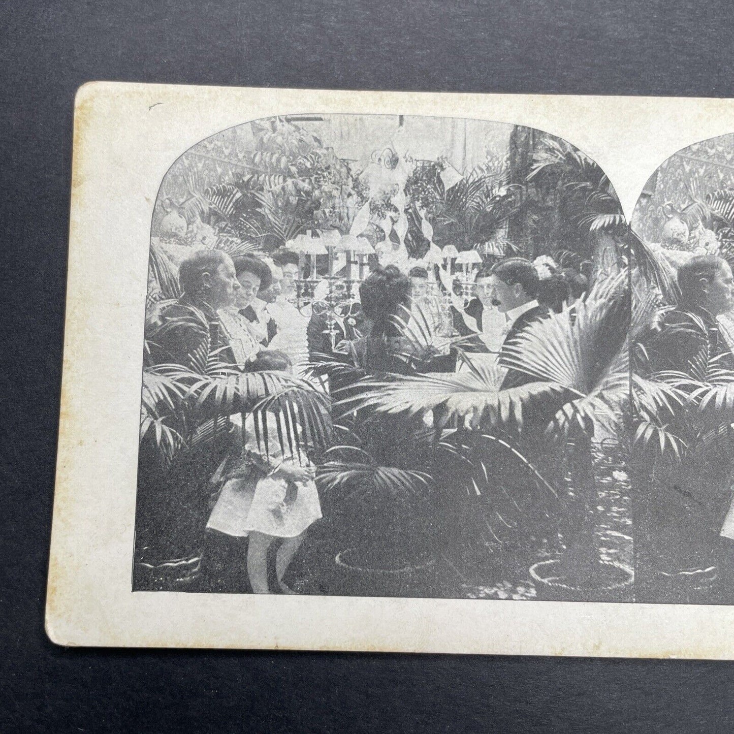 Antique 1906 Wealthy Chicago Family Wedding Breakfast Stereoview Photo Card P1129