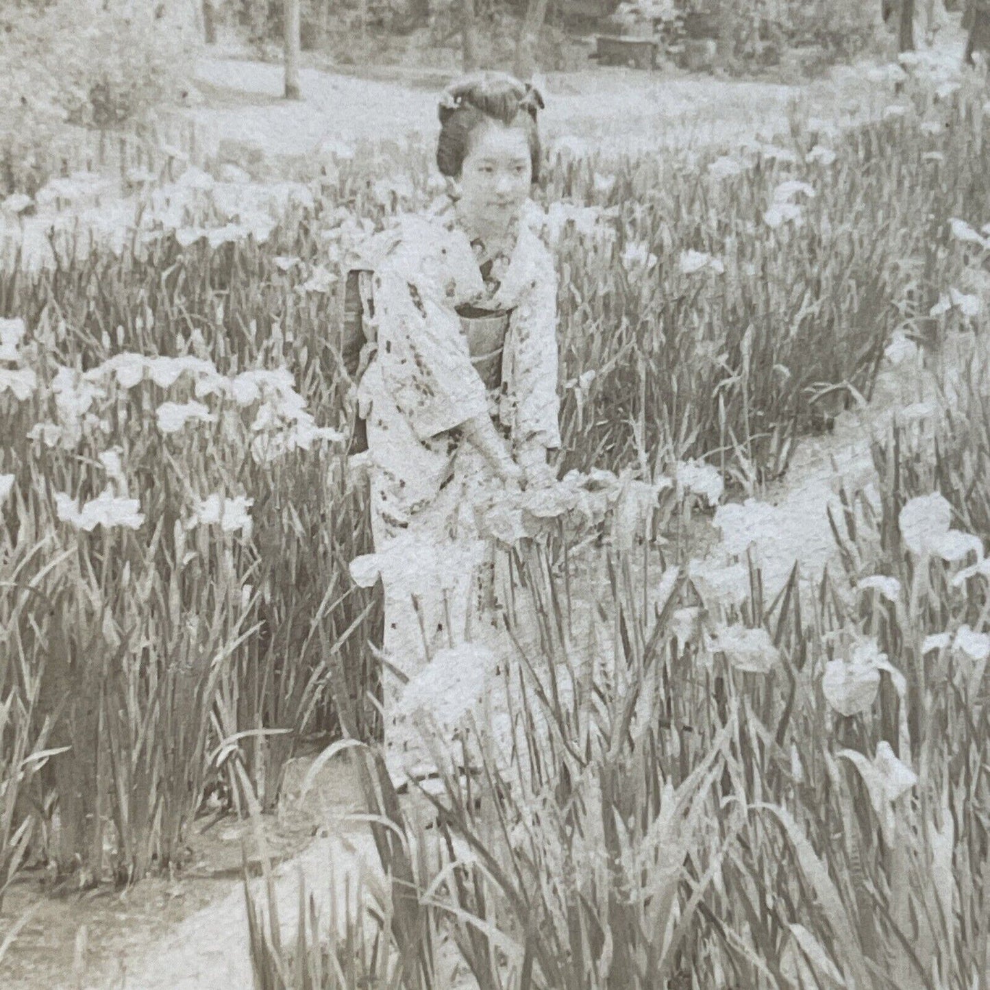 Antique 1901 Japanese Geisha In A Garden Japan Stereoview Photo Card P3845