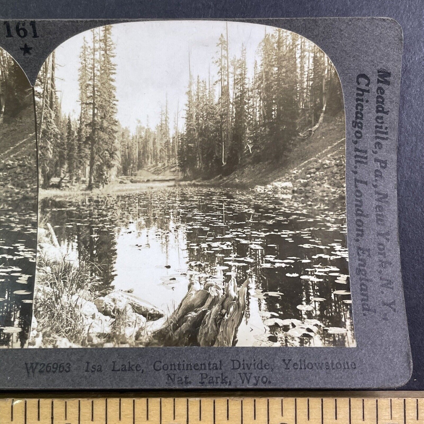 Isa Lake Yellowstone Park Wyoming Stereoview Antique c1910s Y1183