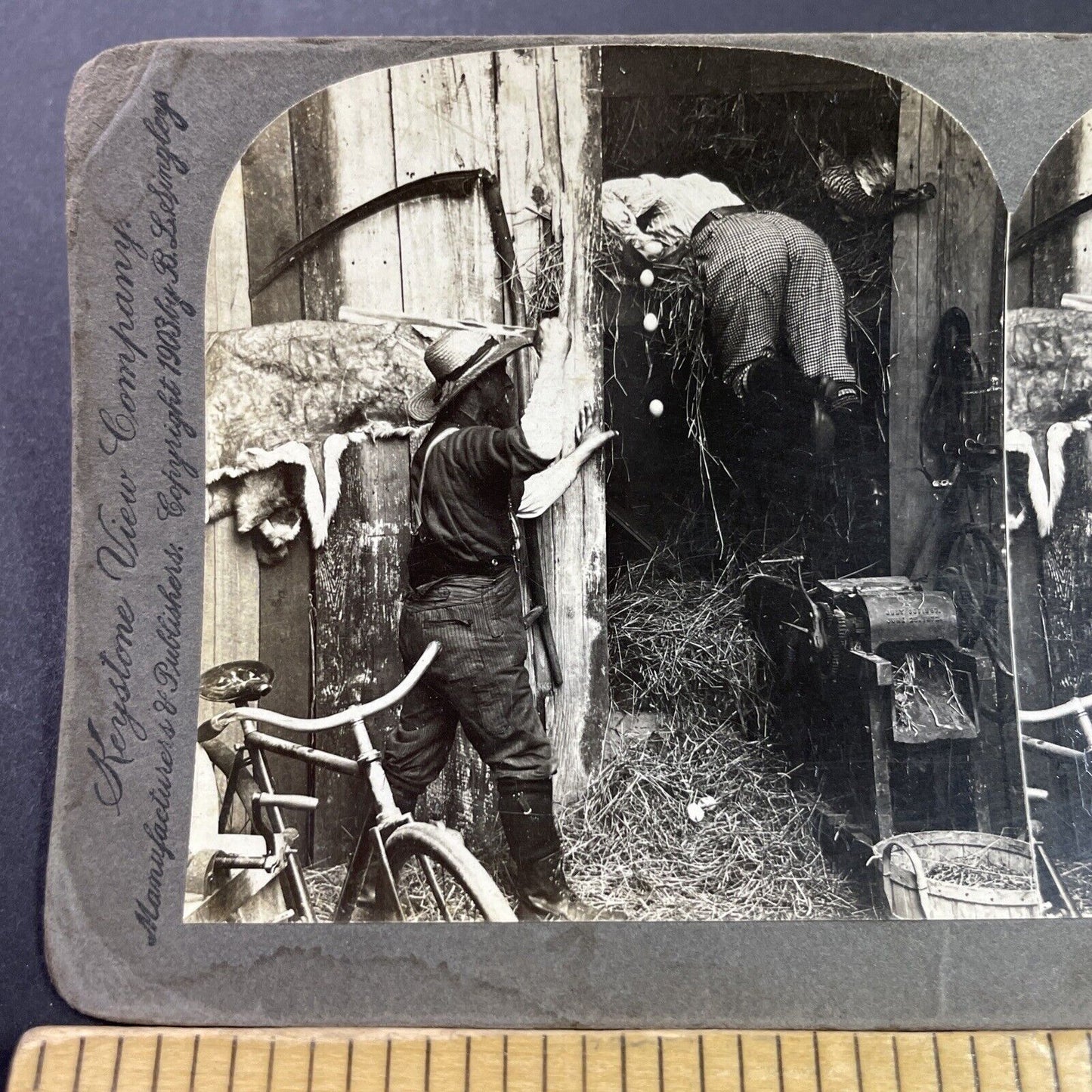 Antique 1903 Man Beats Robber For Stealing Eggs Stereoview Photo Card P3460