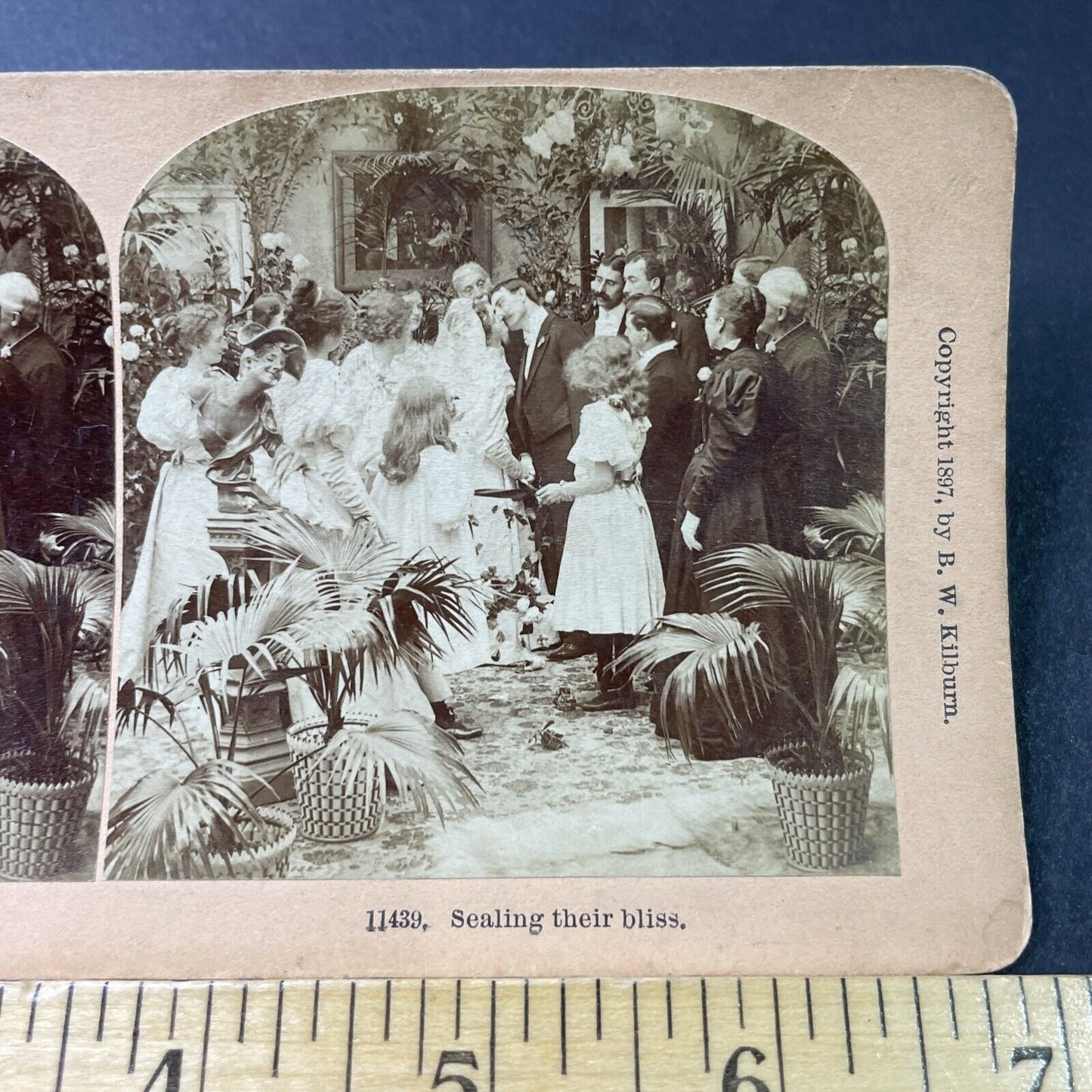 Antique 1897 Bride And Groom Share Wedding Kiss Stereoview Photo Card P2864