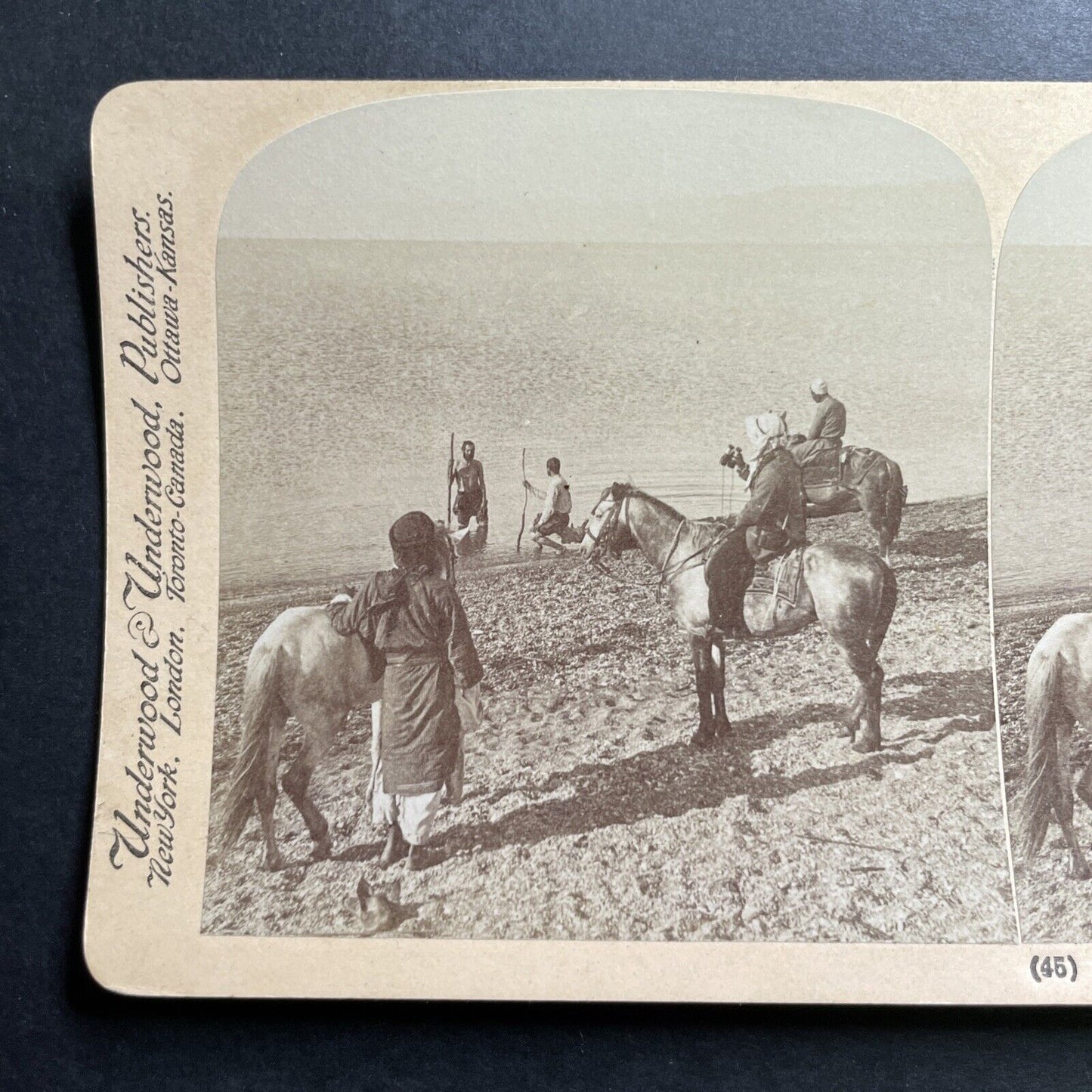 Antique 1900 Horseman On The Shore Of The Dead Sea Stereoview Photo Card P1389