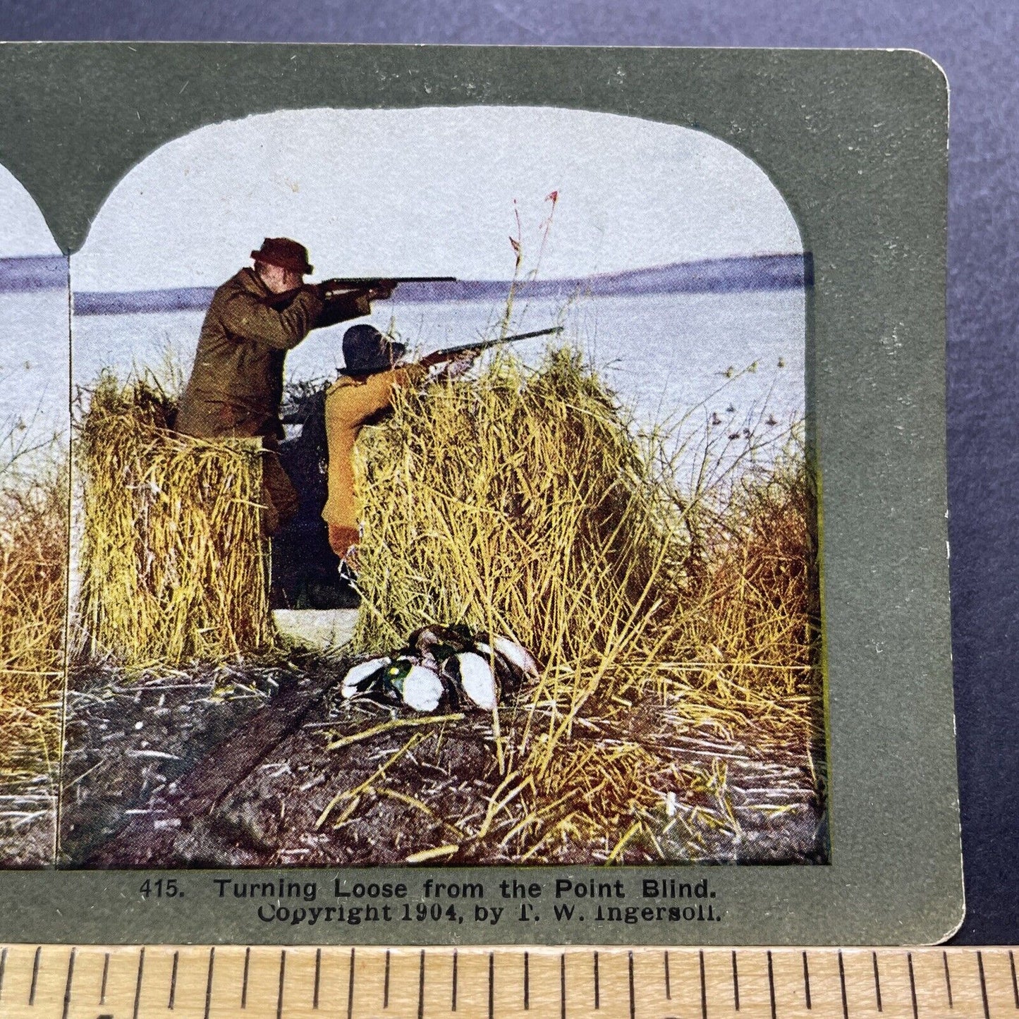 Antique 1904 Duck Hunters Shooting From A Blind Stereoview Photo Card V3409