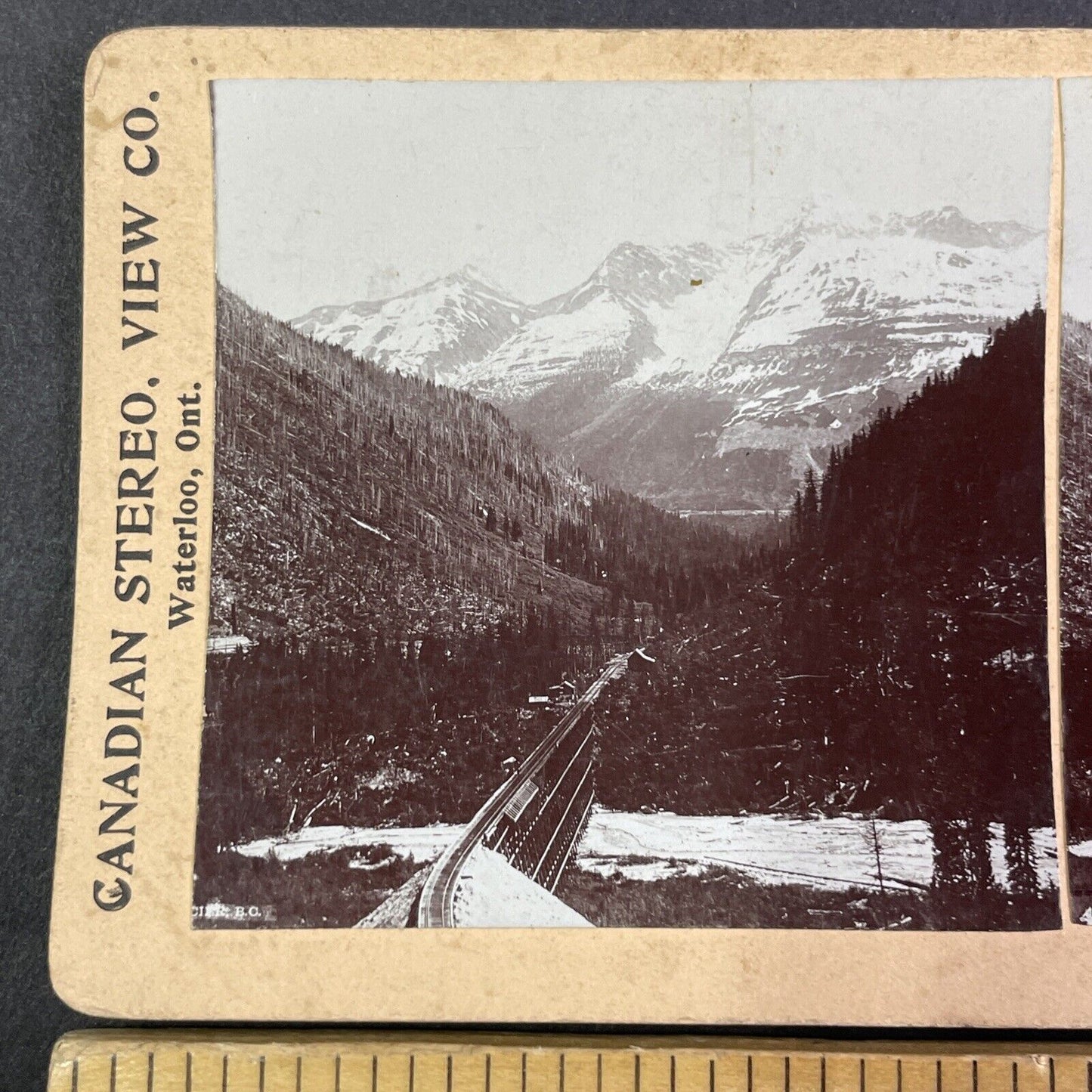 Loop Glacier British Columbia Canada Stereoview CPR Rail Views c1899 Y2112