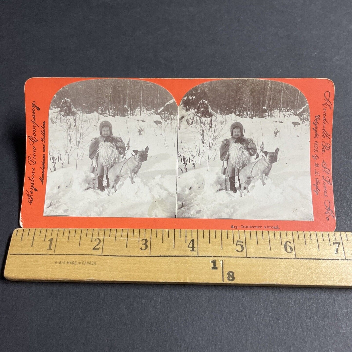 Antique 1898 Young Girl With Pug Dog In Deep Snow Stereoview Photo Card P4076