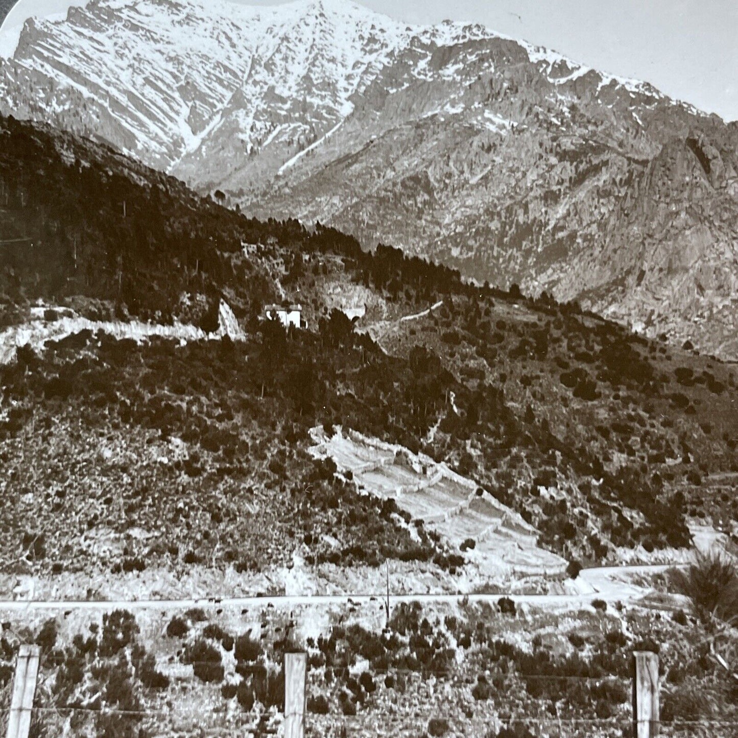 Antique 1890s Mount Rotondo Corte Corsica France Stereoview Photo Card V2040