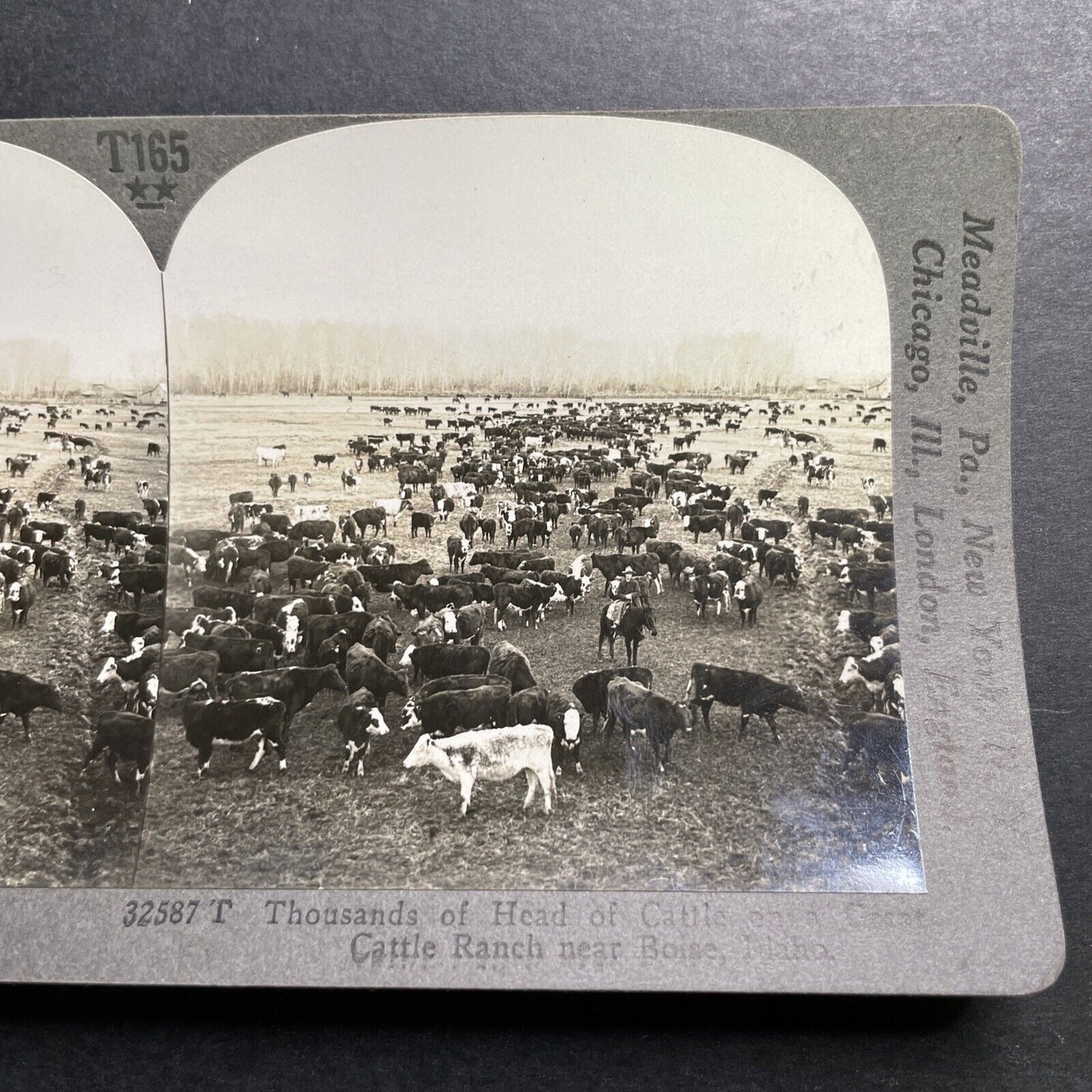 Antique 1918 Cattle Ranch In Boise Idaho Stereoview Photo Card P1360