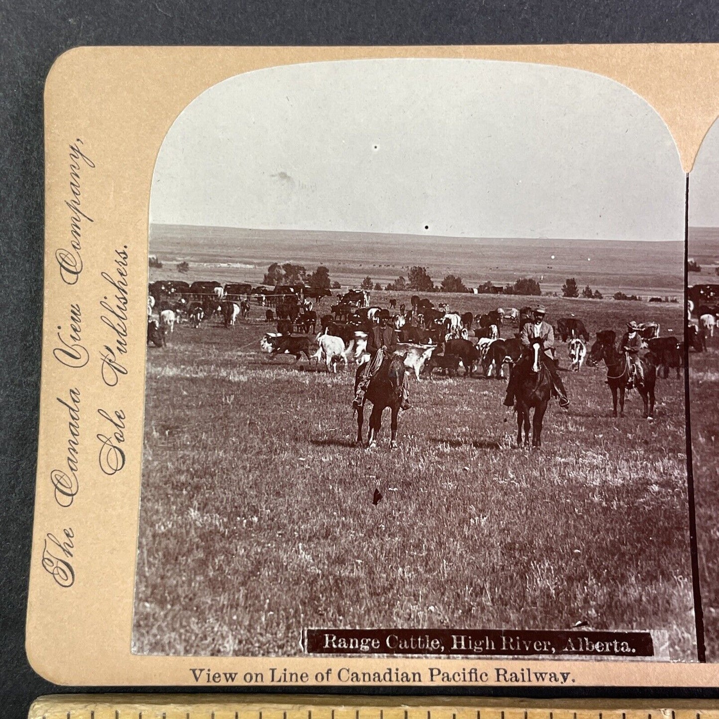 Cowboys in Central Alberta Canada Stereoview CPR Rail Views c1899 Y2116