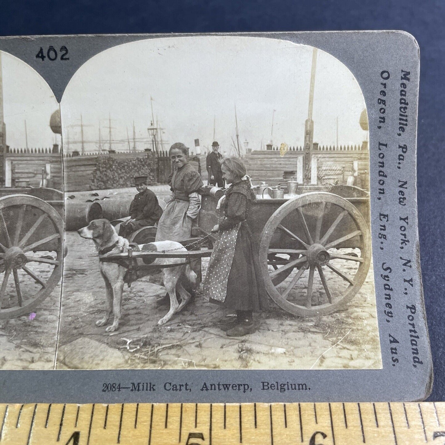 Antique 1896 Dog Delivering Milk Antwerp Belgium Stereoview Photo Card P2118