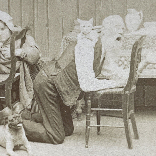 Antique 1897 Cat Attacks Praying Man In Kitchen Stereoview Photo Card P5532