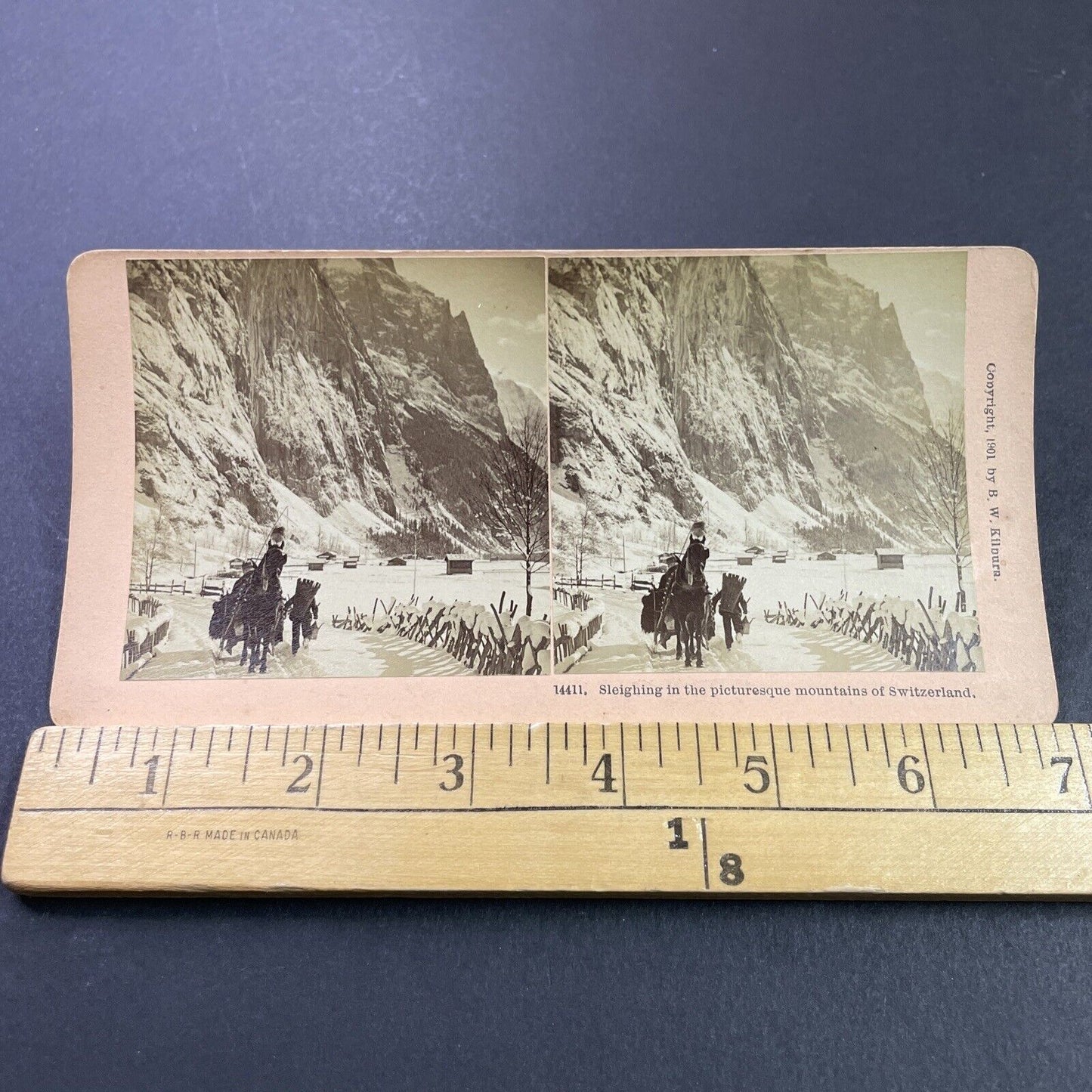 Antique 1901 Winter Sleigh Ride Swiss Alps Stereoview Photo Card P3938