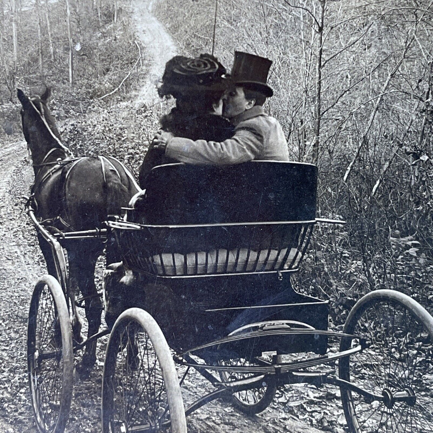 Antique 1901 Couple Kissing On A Horse Carriage Stereoview Photo Card P2831