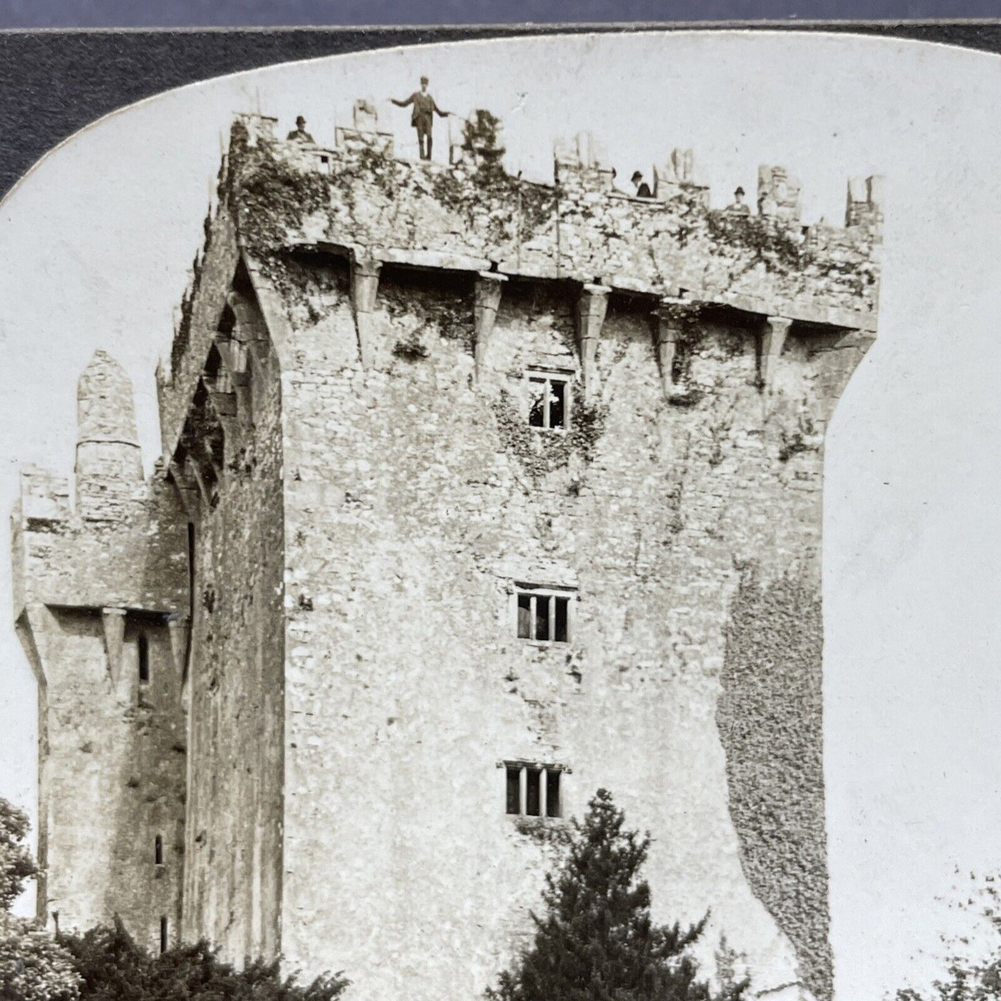 Antique 1910s Blarney Castle Dromderrig Ireland Stereoview Photo Card P2816