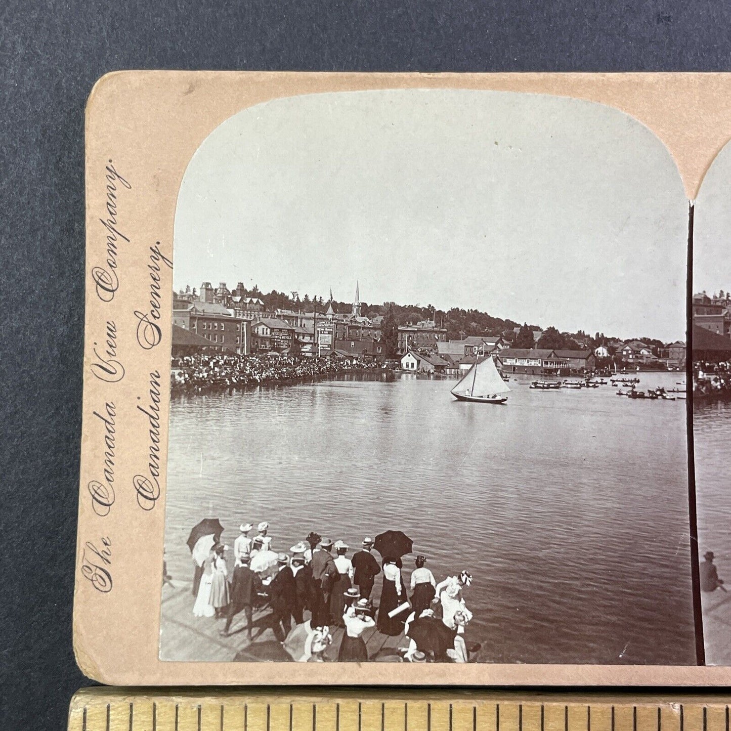 Barrie Ontario Canada Harbourfront Stereoview Rowing Race Antique c1899 Y481