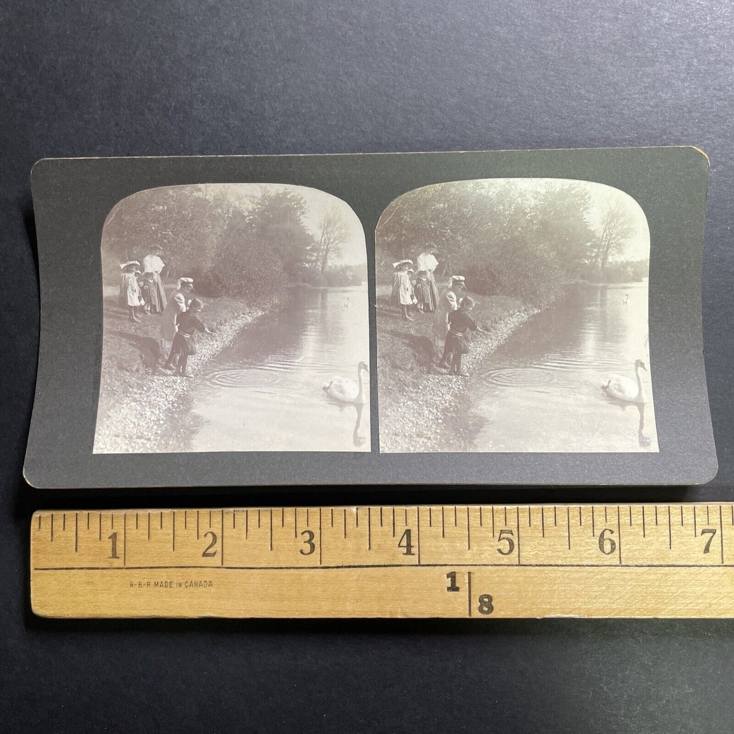 Antique 1909 Jamaica Pond Boston Massachusetts Stereoview Photo Card P1440