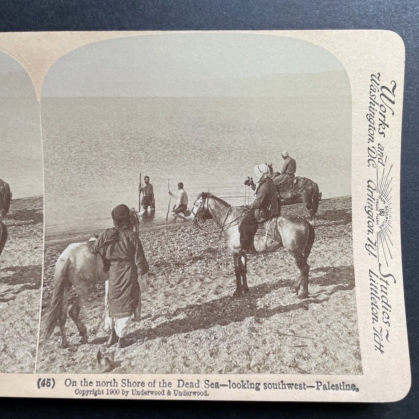 Antique 1900 Horseman On The Shore Of The Dead Sea Stereoview Photo Card P1389