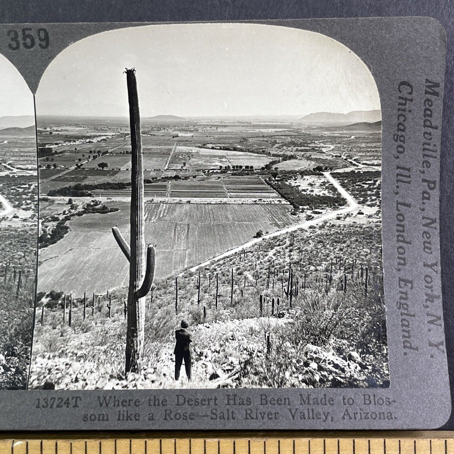 1890s Photo of Phoenix Arizona Stereoview Antique c1910 Y1188