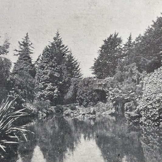 Antique 1910 Golden Gate Park Pond San Francisco Stereoview Photo Card P580-110