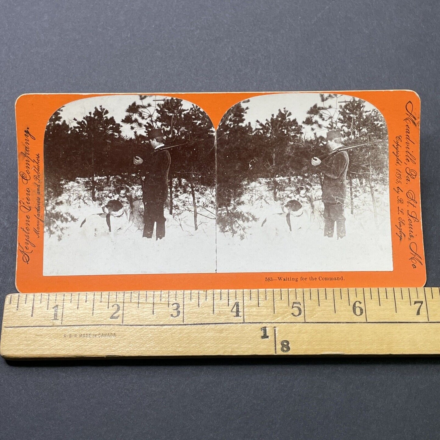 Antique 1895 Man With His Hunting Dogs Stereoview Photo Card P2725