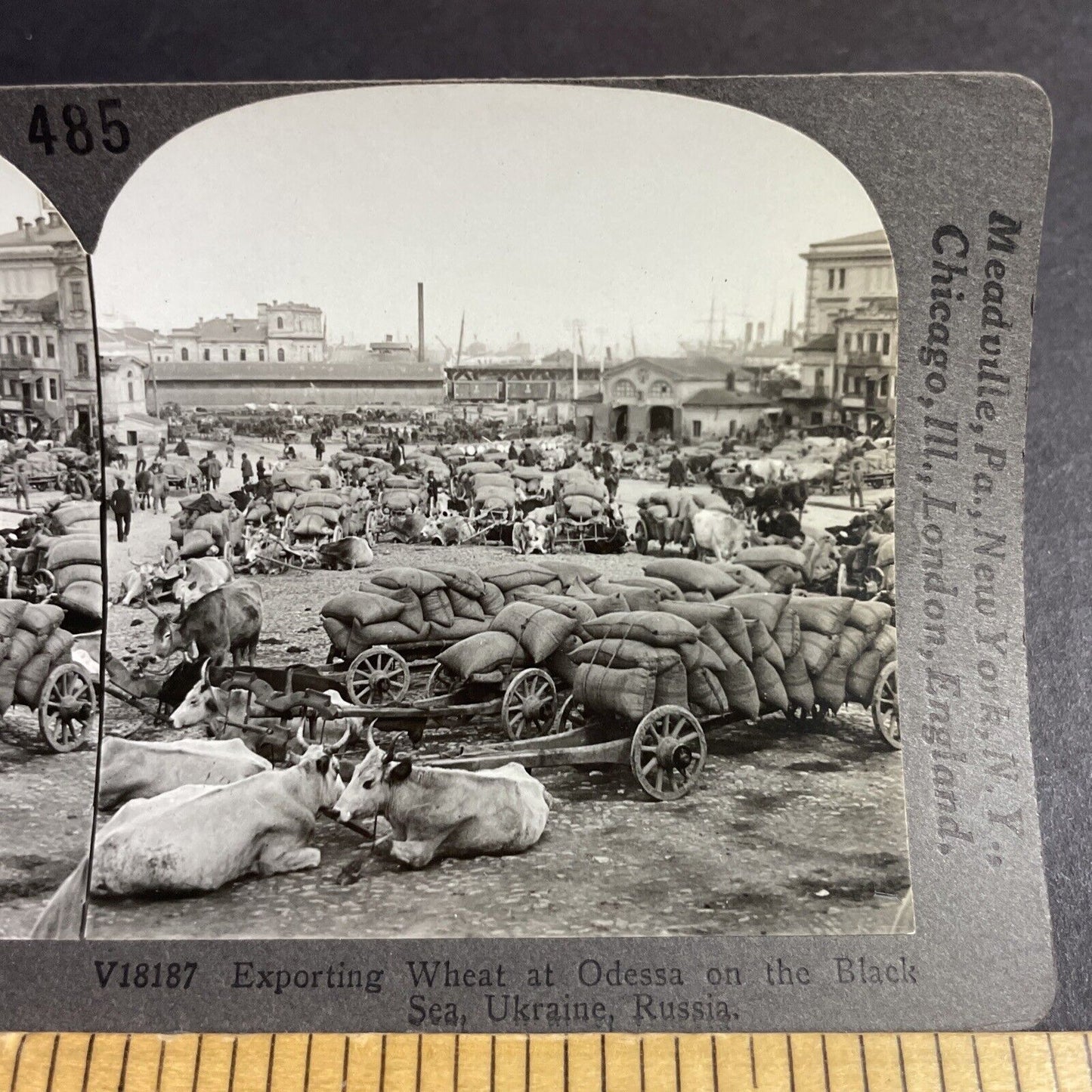 Antique 1920s Odessa Ukraine Sea Port For Grain Stereoview Photo Card P4240