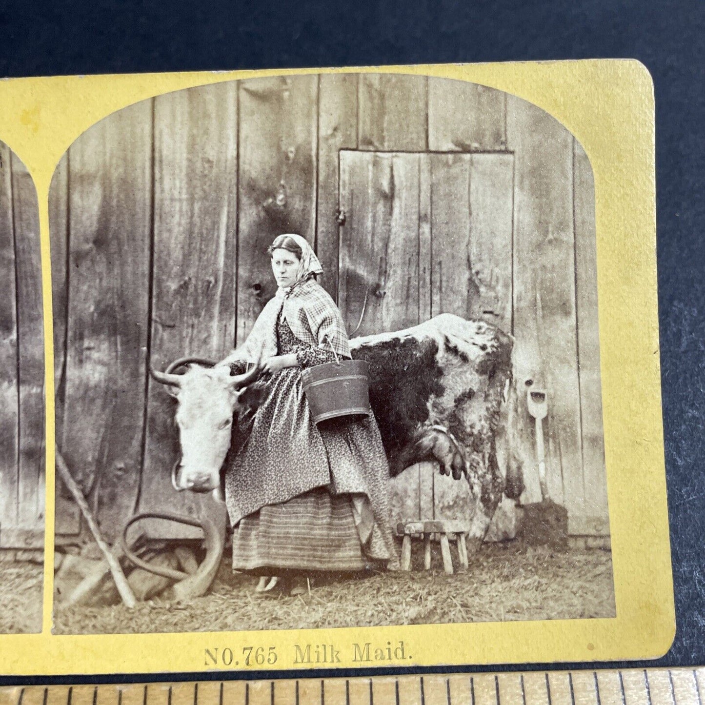 Antique 1870s A Milk Maid To Milk A Cow New Hampshire Stereoview Photo Card 4694