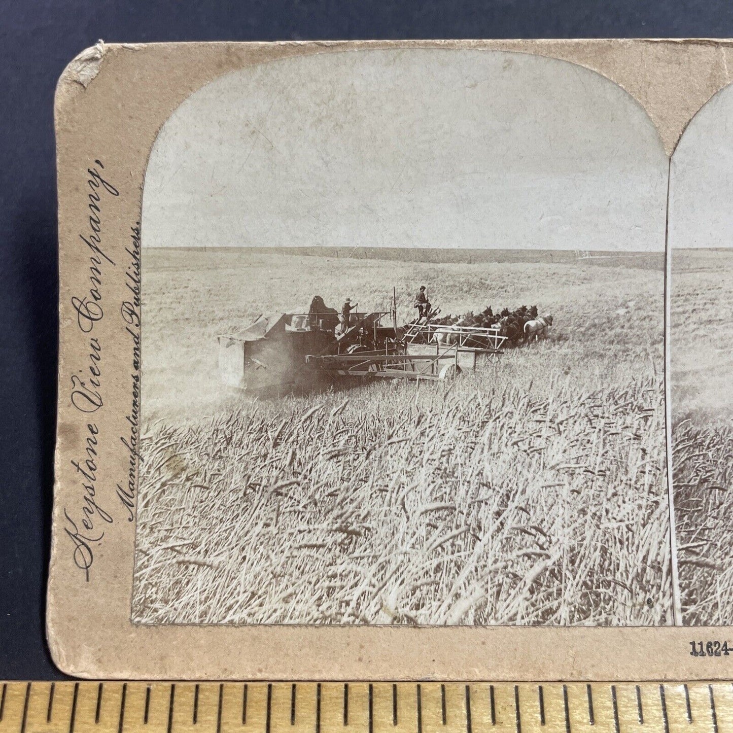 Antique 1901 Horse Drawn Amish Hay Harvest Stereoview Photo Card P856-08