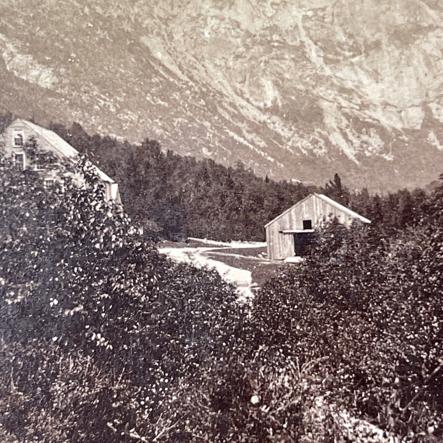 Willey House NH Stereoview Early Photo NW Pease Antique c1867 X945