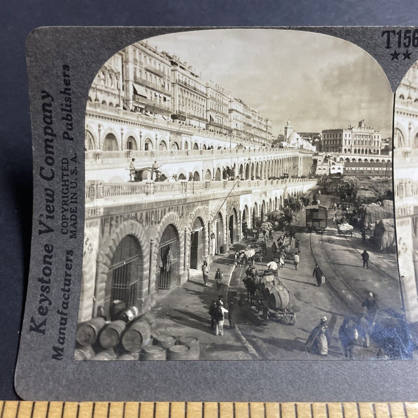 Antique 1910s Algiers Algeria City View Stereoview Photo Card P5058