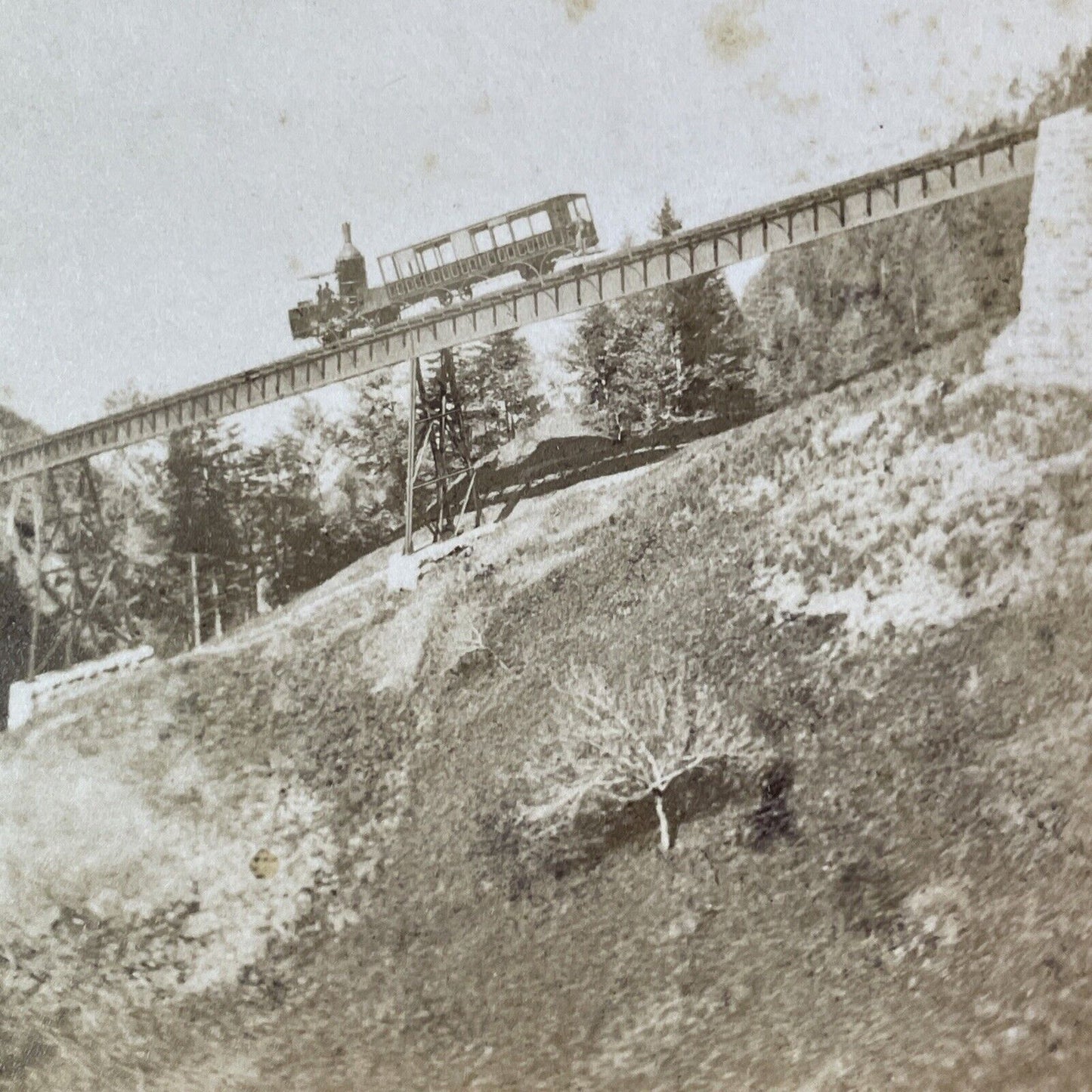 Rigi Mountain Railroad Switzerland Stereoview F. Charnaux Antique c1873 Y130