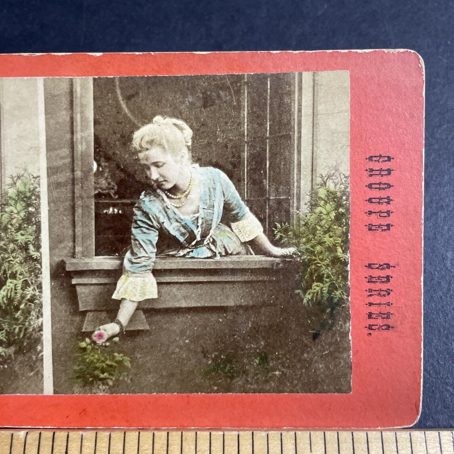 Antique 1860s Blonde Girl Woman Picks A Rose Stereoview Photo Card P4072