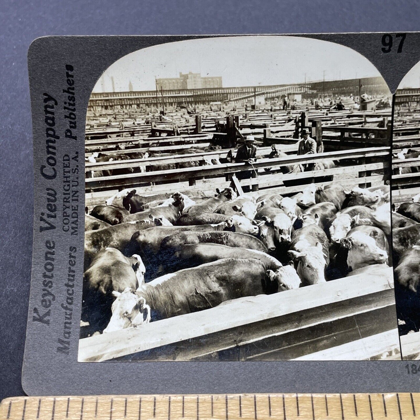 Antique 1920 Large Cattle Stockyard Chicago Illinois Stereoview Photo Card P2768