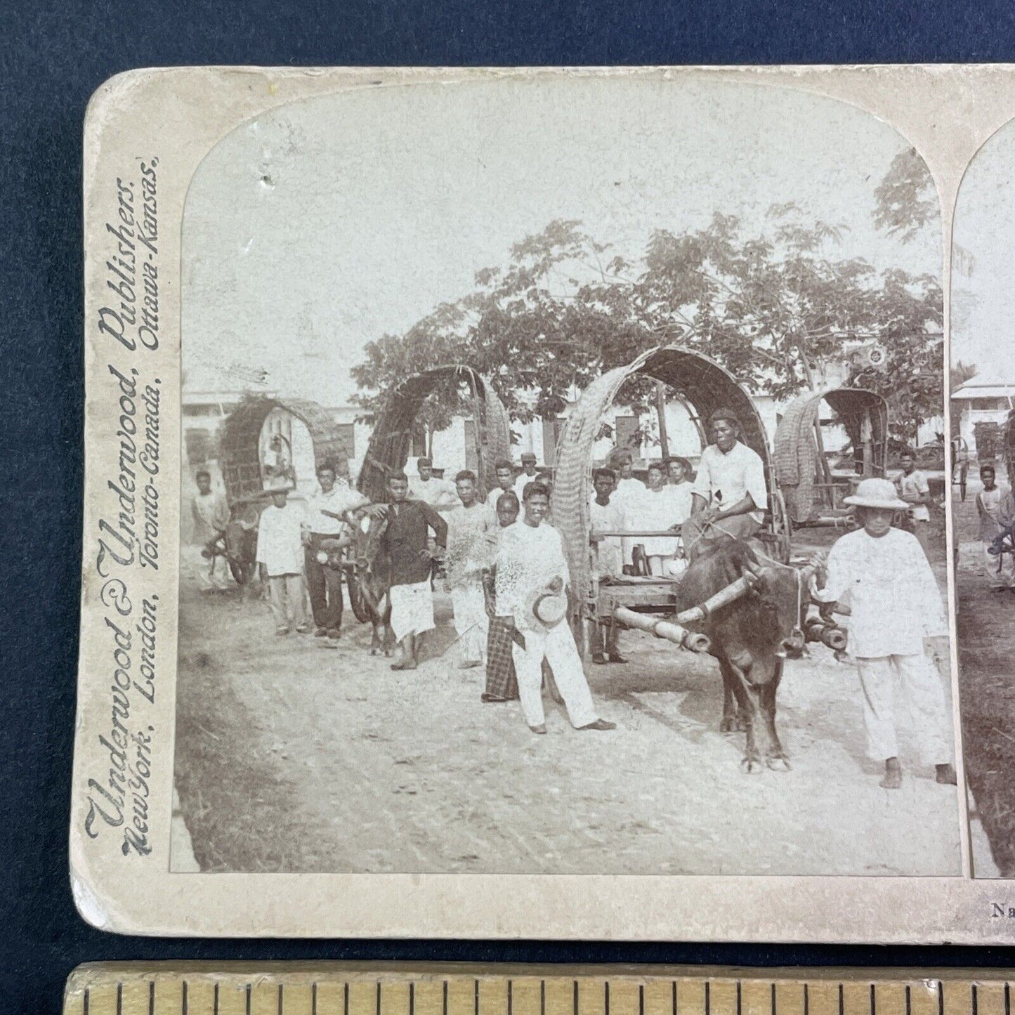 Carabao Drawn Native Wagons Stereoview The Philippines Antique c1900 Y131