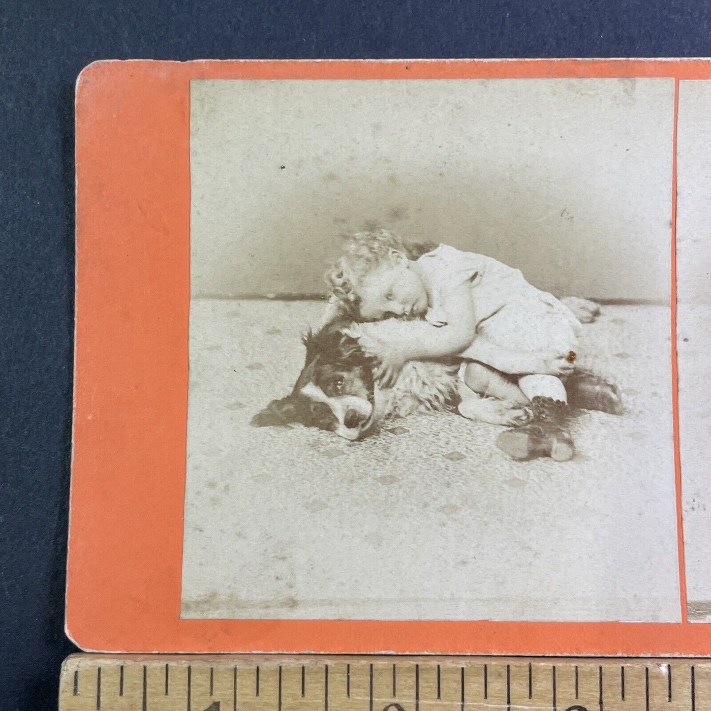 Child Cuddling Her Dog Stereoview Border Collie Antique c1865 X1535