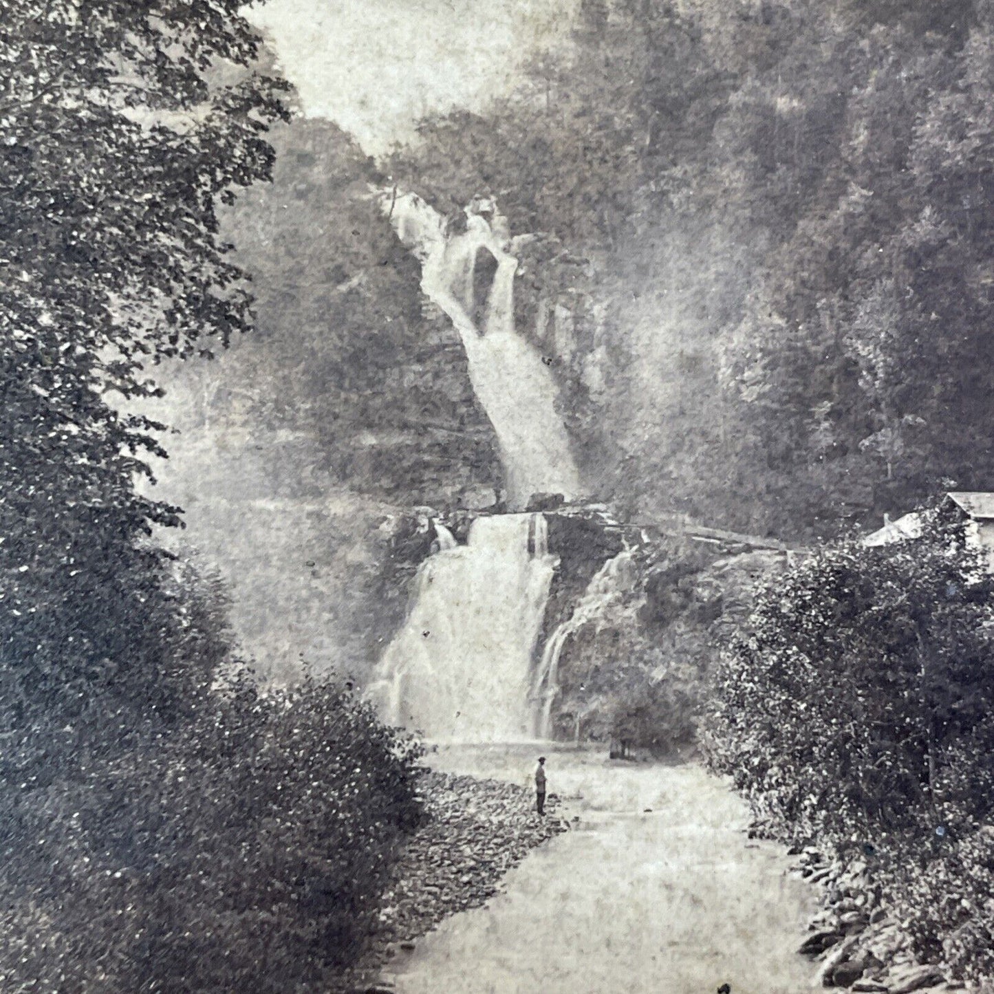 Reichenbach Waterfall Switzerland Stereoview William England Antique c1870 X3793