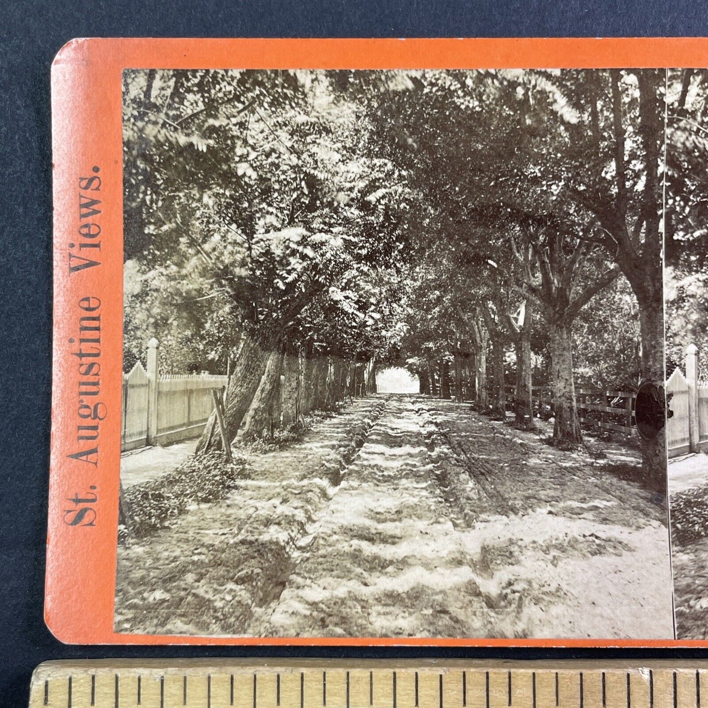 Archway Entrance to St. Augustine Florida Stereoview Antique c1870s Y085